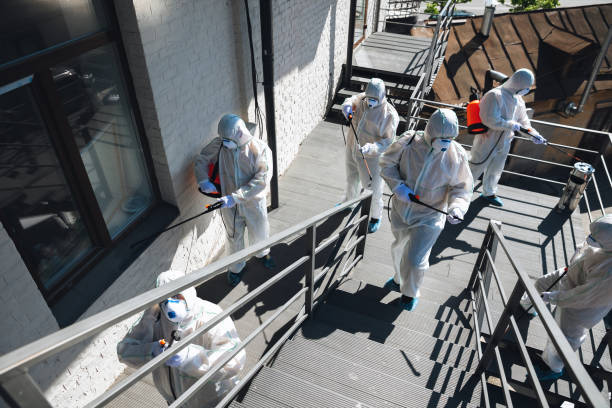 Best Mold Removal for HVAC Installations  in North Valley, NM