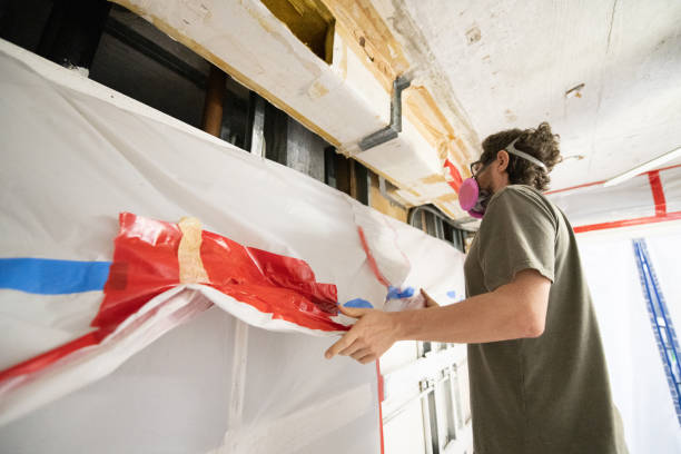 Professional Mold Removal in North Valley, NM
