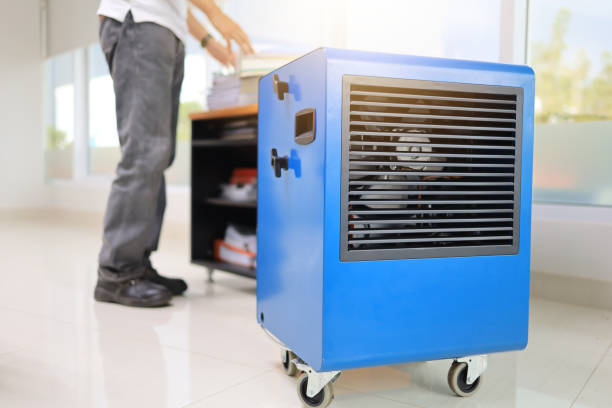 Best Residential Mold Inspection & Testing  in North Valley, NM